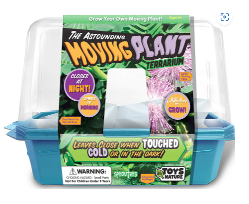 Astounding Moving Plant